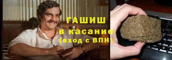 стаф Алзамай