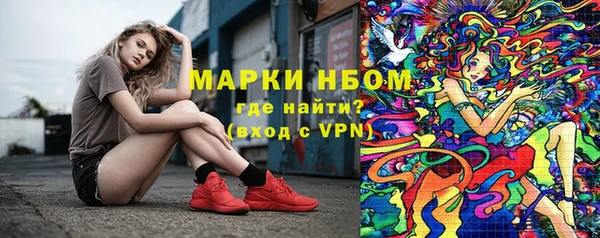 индика Алексин