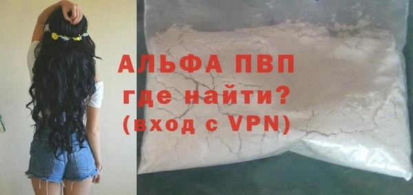 индика Алексин