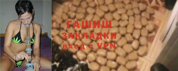 стаф Алзамай