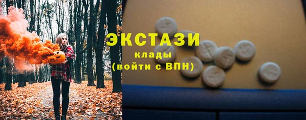 стаф Алзамай