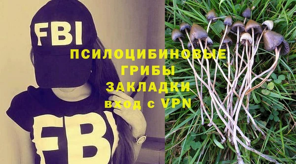 индика Алексин