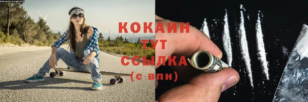 стаф Алзамай